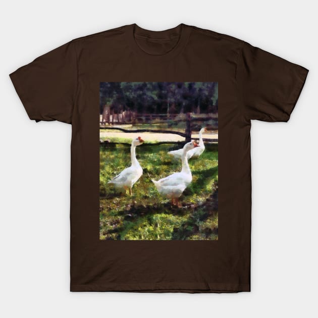 Geese - Three White Geese T-Shirt by SusanSavad